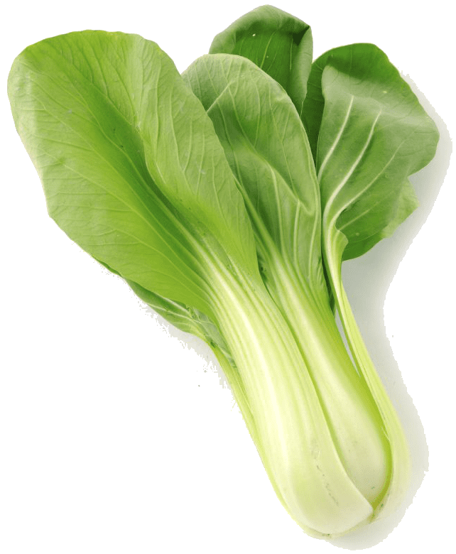 Bok Choy