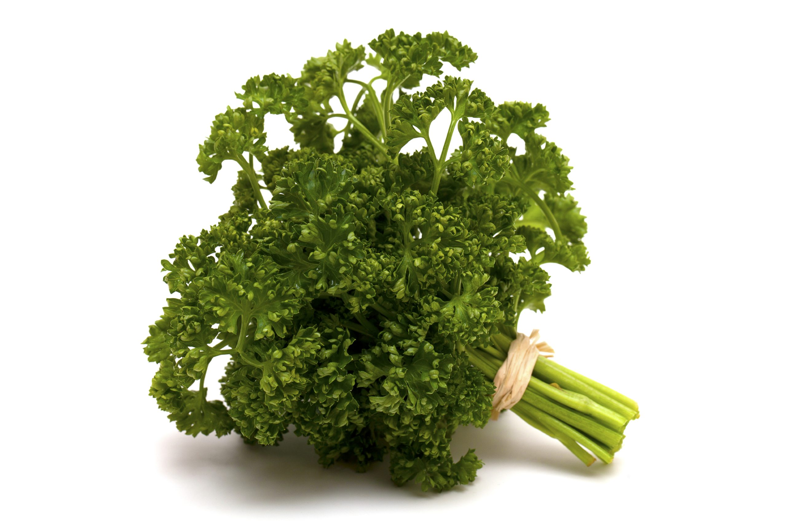 Parsley